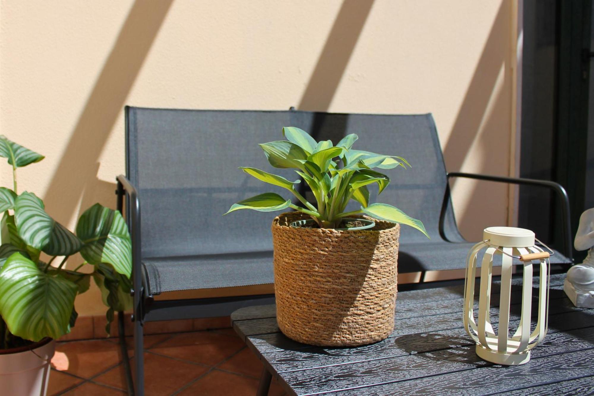 Dimidium Apartment Guspini Dış mekan fotoğraf